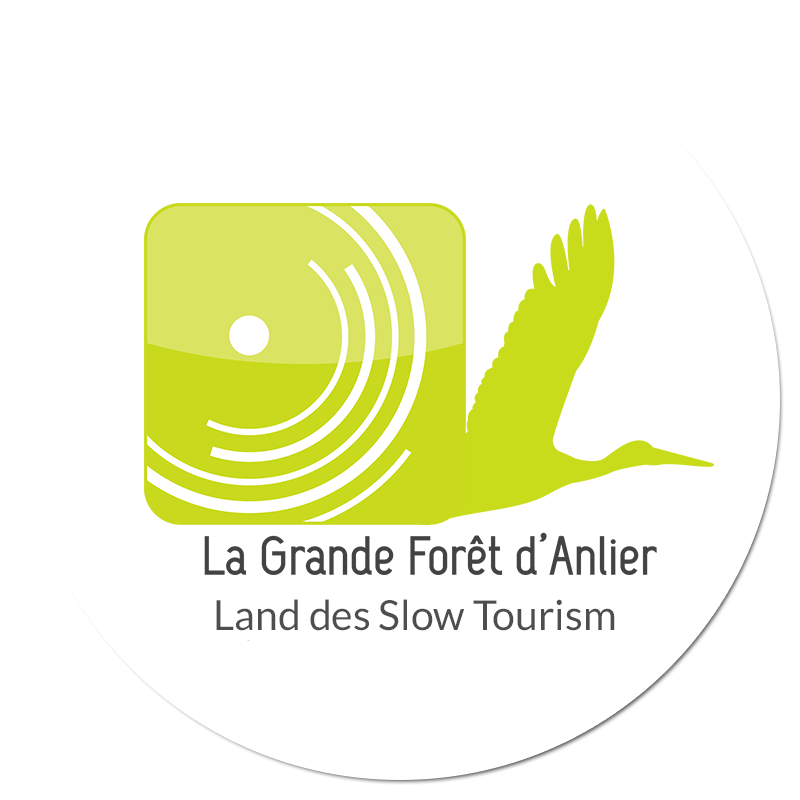 La Grande Fôret d'Anlier - Pays du slow tourisme