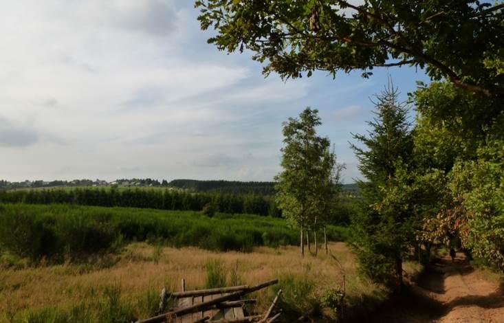 Flânerie entre bois et vallées