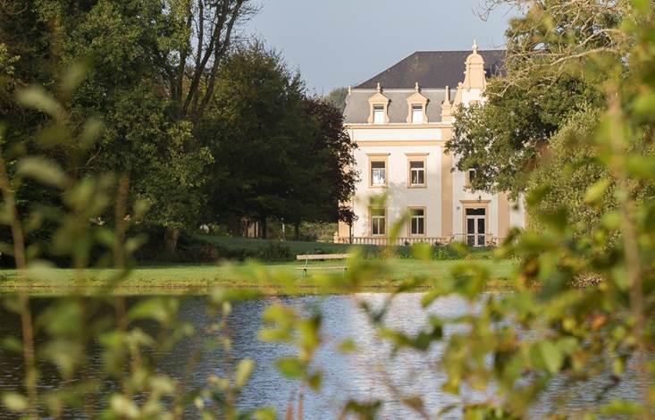 Dans l'intimité d'une forêt