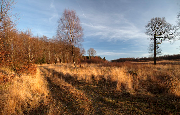 Sentier Ardenne-Eifel - Fagne à Saint-Hubert