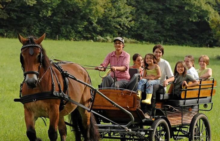 Balade en calèche